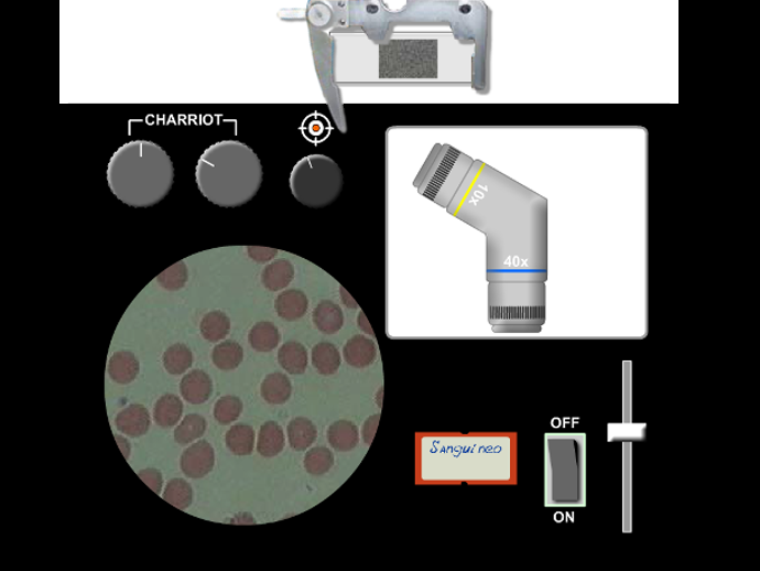 microscopio690x518